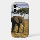 Search for tusks iphone cases Mammal