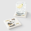 Search for calico cat coasters Pets