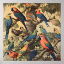 Search for tre posters Tropical