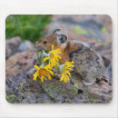 Search for nature lover mousepads Outdoors
