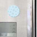 Search for icy magnets Winter