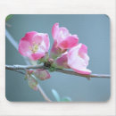 Search for apple mousepads Tree