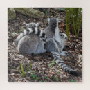 Search for lemur gifts Wild animal