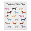 Search for funny sausage posters Doxie