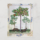 Search for cur postcards Testard