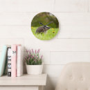 Search for hedgehog clocks Germany