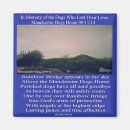 Search for rainbow bridge poem Poetry