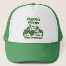 Search for pigeon forge Tennessee