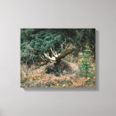 Search for christmas deer canvas prints Animal