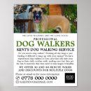 Search for dog walker posters Pet sitting