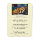 Search for loss magnets Pet sympathy