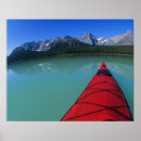 Search for waterfowl posters Summer
