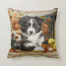Search for mini cushions Dog