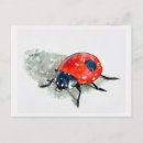 Search for lady bug postcards Watercolor