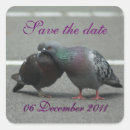 Search for pigeon stickers Cute