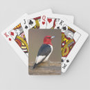 Search for danita delimont playing cards avian