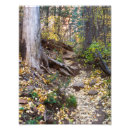 Search for west fork Sedona