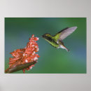 Search for rolf art Bird