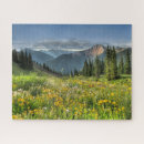 Search for wildflower puzzles Mountain