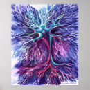 Search for neurons posters Cell