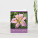 Search for day lily Photography