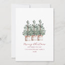 Search for evergreen christmas cards Winter greenery