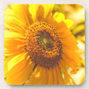 Search for cheer photography Flowers