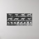 Search for 1904 art From
