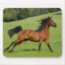 Search for galloping mousepads Equine