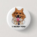 Search for aussie shepherd badges Dog