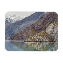 Search for shows magnets Landscape