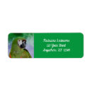 Search for macaw return address labels Nature