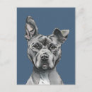Search for handsome postcards Cute