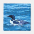 Search for loons magnets Wildlife