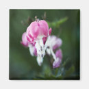 Search for broken heart magnets Pink