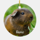 Search for rodent christmas tree decorations Rabbit