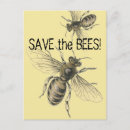 Search for bee image postcards Honey