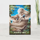 Search for koala picture cards Wildlife