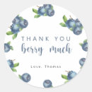 Search for blueberry stickers Fruit