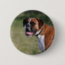 Search for boxers accessories Fawn