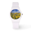 Search for mountain range watches Arrowleaf balsamroot
