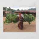 Search for ethiopian postcards Africa