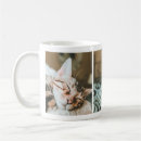 Search for sleepy cat mugs Pet