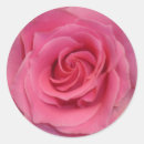 Search for perfect rose stickers Floral