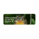 Search for oriole return address labels Bird