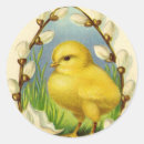 Search for little chick stickers Chicken