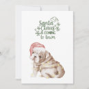 Search for cute puppy christmas cards Santa