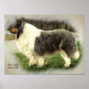 Search for rough posters Pets