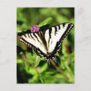 Search for simplicity cards invites Purple