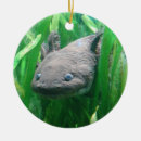 Search for amphibian christmas tree decorations Animal